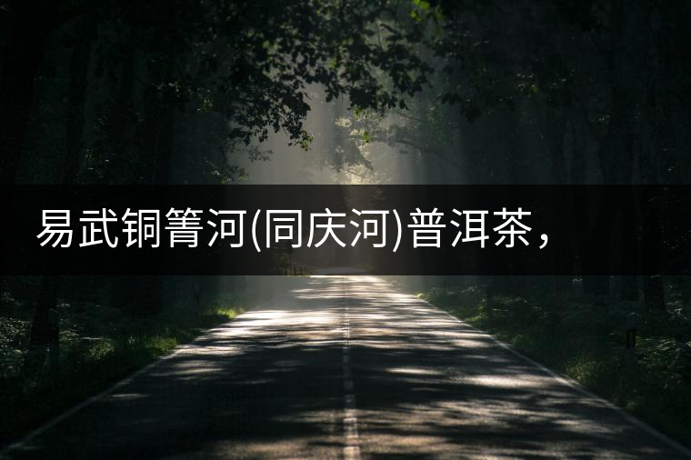 易武銅箐河(同慶河)普洱茶，讓我拜倒的不止它的口感易武銅箐河（同慶河）普洱茶，讓我拜倒的不止它的口感