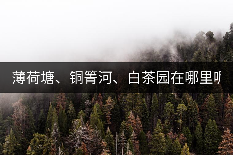 薄荷塘、銅箐河、白茶園在哪里呢?薄荷塘、銅箐河、白茶園在哪里呢？