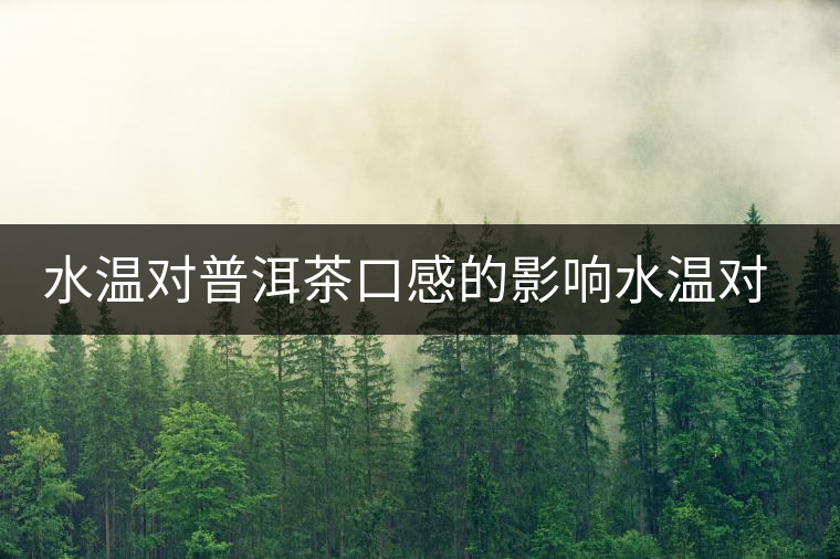 水溫對(duì)普洱茶口感的影響水溫對(duì)普洱茶口感的影響