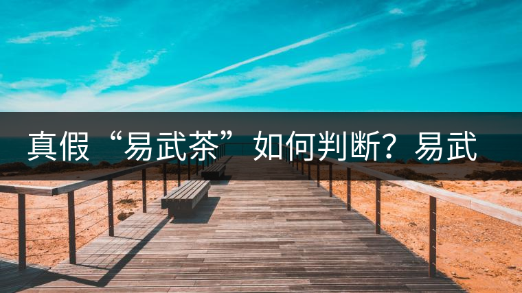 真假“易武茶”如何判斷？易武普洱茶有哪些特點？