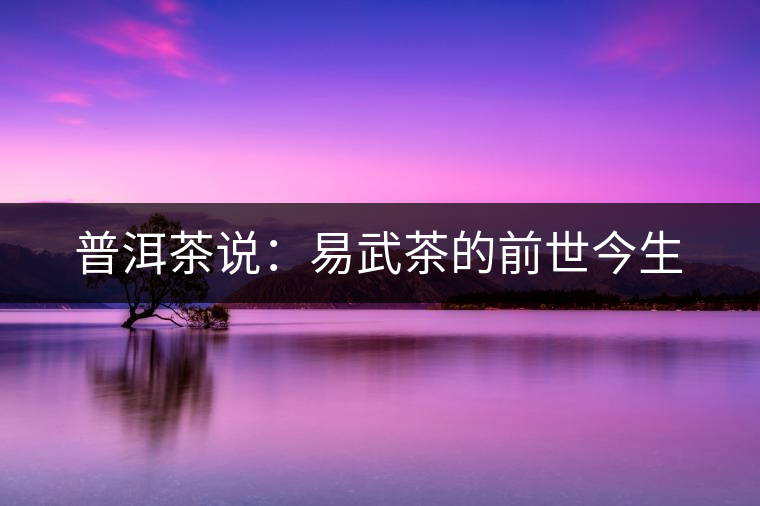 普洱茶說：易武茶的前世今生