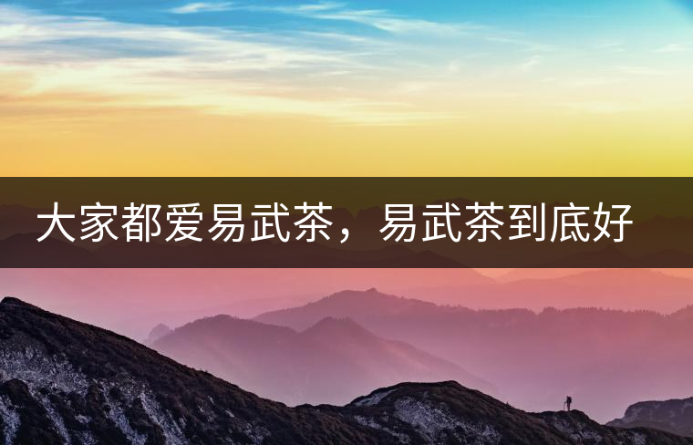 大家都愛(ài)易武茶，易武茶到底好在哪兒?大家都愛(ài)易武茶，易武茶到底好在哪兒？
