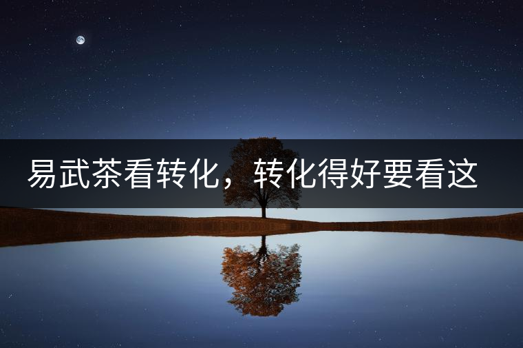 易武茶看轉(zhuǎn)化，轉(zhuǎn)化得好要看這三要素及品牌優(yōu)勢！