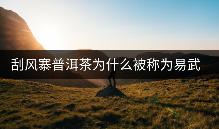刮風寨普洱茶為什么被稱為易武茶王？