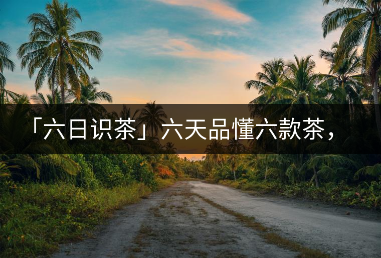 「六日識(shí)茶」六天品懂六款茶，從此愛上山頭茶