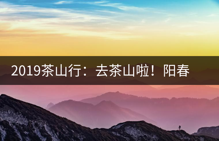 2019茶山行：去茶山啦！陽春三月，和南茗佳人一起上山喝好茶！