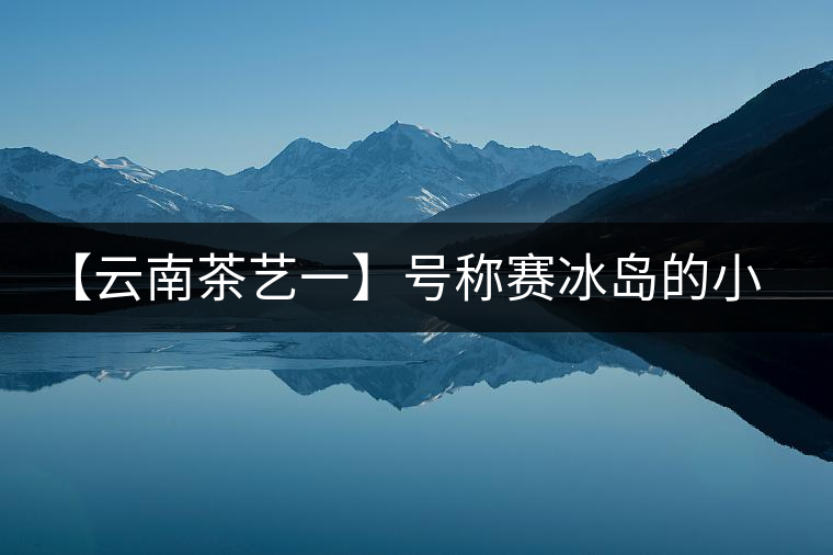 【云南茶藝一】號稱賽冰島的小戶賽憑什么！今天帶大家一起研究下