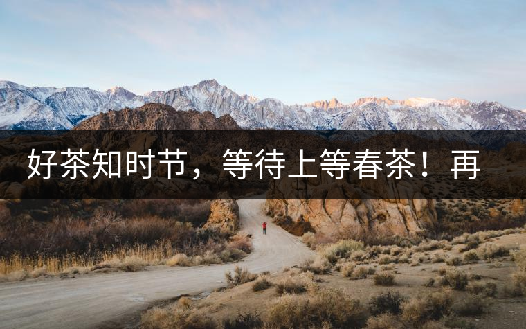 好茶知時(shí)節(jié)，等待上等春茶！再來回味這些年喝過的小戶賽古樹春茶