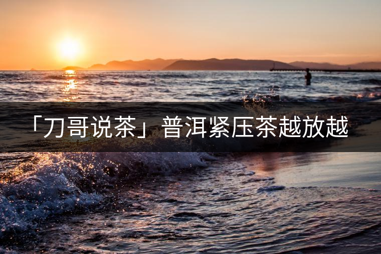 「刀哥說茶」普洱緊壓茶越放越膨脹還是越收縮？