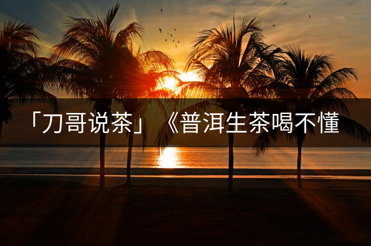 「刀哥說茶」《普洱生茶喝不懂定律》 「刀哥說茶」《普洱生茶喝不懂定律》