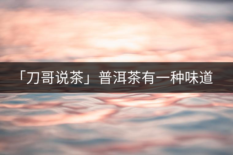 「刀哥說茶」普洱茶有一種味道，只可意會(huì)不可言傳