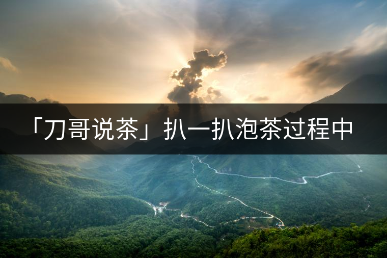 「刀哥說(shuō)茶」扒一扒泡茶過(guò)程中最容易犯的十條失禮行為 「刀哥說(shuō)茶」扒一扒泡茶過(guò)程中最容易犯的十條失禮行為