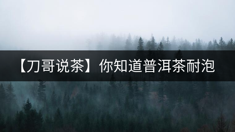 【刀哥說茶】你知道普洱茶耐泡，那你知道哪一類普洱茶比較耐泡？