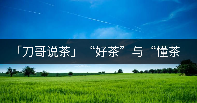「刀哥說(shuō)茶」“好茶”與“懂茶”「刀哥說(shuō)茶」“好茶”與“懂茶”