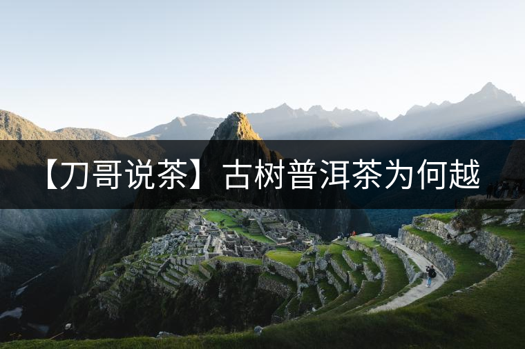 【刀哥說(shuō)茶】古樹普洱茶為何越泡越甘甜?