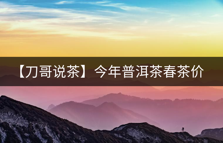 【刀哥說茶】今年普洱茶春茶價(jià)格，我不預(yù)測