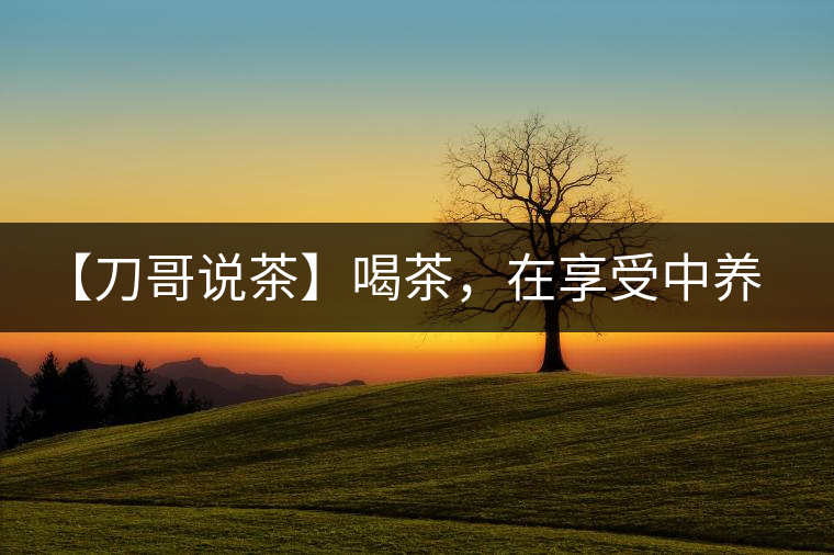 【刀哥說(shuō)茶】喝茶，在享受中養(yǎng)生的最佳選擇