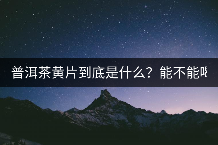 普洱茶黃片到底是什么？能不能喝？