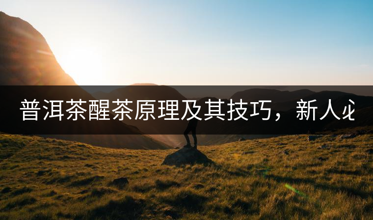 普洱茶醒茶原理及其技巧，新人必備！