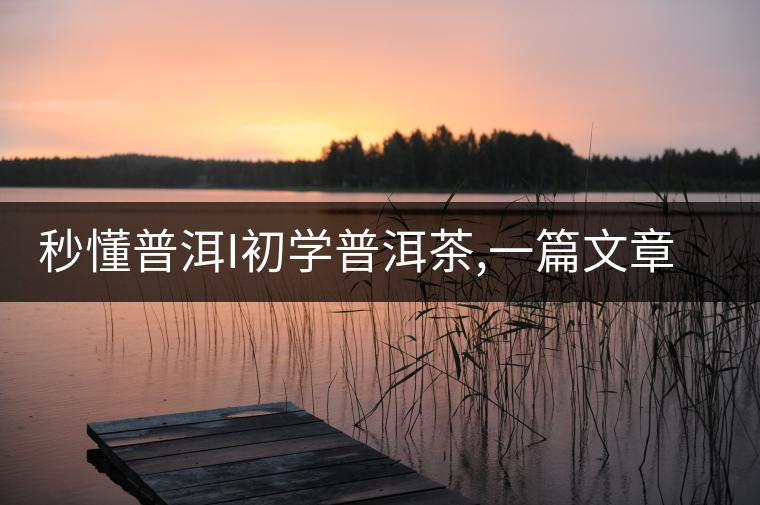 秒懂普洱I初學普洱茶,一篇文章快速入門 秒懂普洱I初學普洱茶,一篇文章快速入門