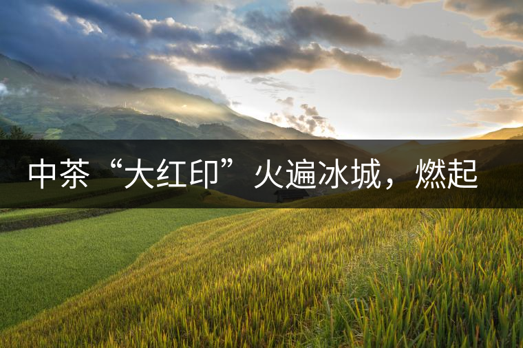 中茶“大紅印”火遍冰城，燃起普洱茶新味蕾