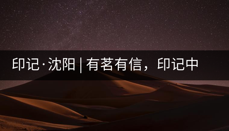 印記·沈陽(yáng) | 有茗有信，印記中茶，中茶普洱亮相沈陽(yáng)茶博會(huì)