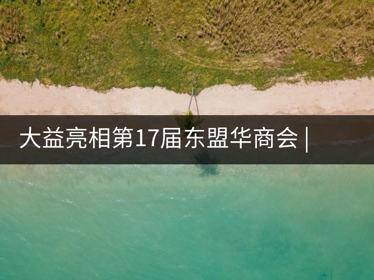大益亮相第17屆東盟華商會 | 海內(nèi)外嘉賓共謀發(fā)展，共品大益茶