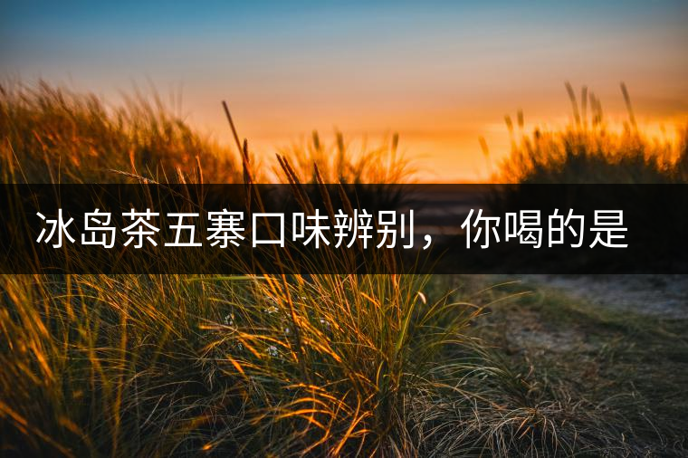 冰島茶五寨口味辨別，你喝的是正宗冰島茶嗎?冰島茶五寨口味辨別，你喝的是正宗冰島茶嗎？