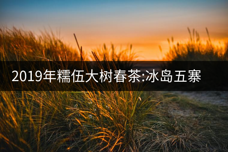 2019年糯伍大樹春茶:冰島五寨甜柔口感的代表，售價不...2019年糯伍大樹春茶：冰島五寨甜柔口感的代表，售價不到500