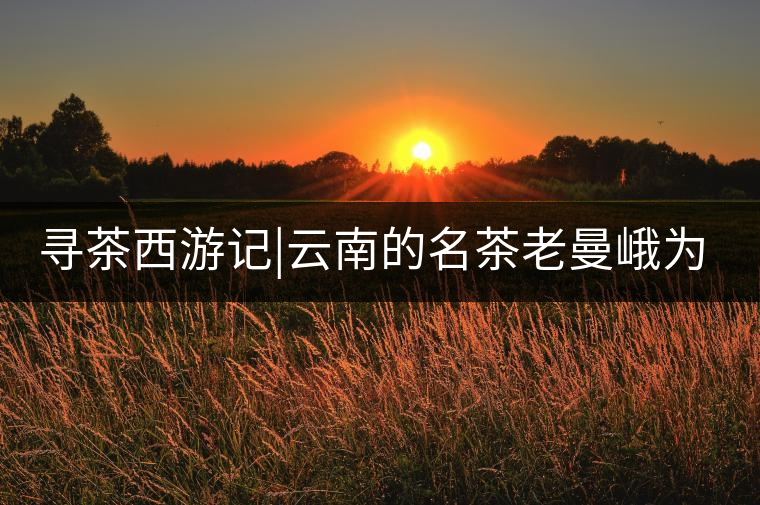 尋茶西游記|云南的名茶老曼峨為什么這么多人愛(ài)，這里...尋茶西游記｜云南的名茶老曼峨為什么這么多人愛(ài)，這里給你答案！