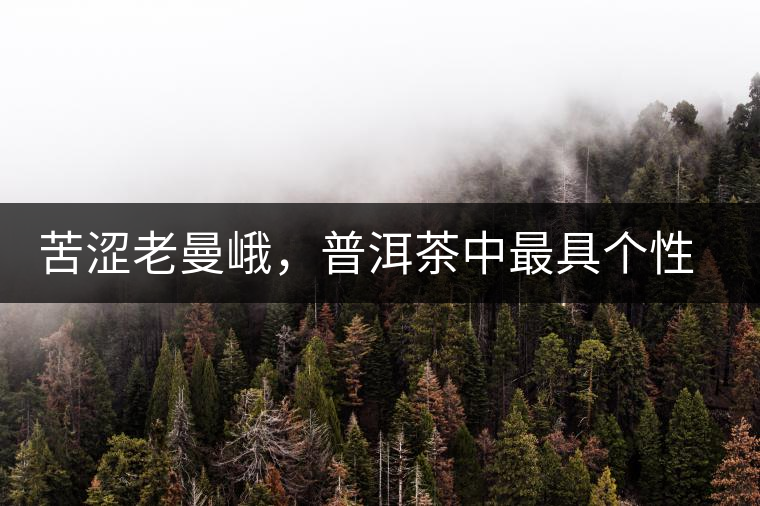 苦澀老曼峨，普洱茶中最具個(gè)性的“布朗味”苦澀老曼峨，普洱茶中最具個(gè)性的“布朗味”