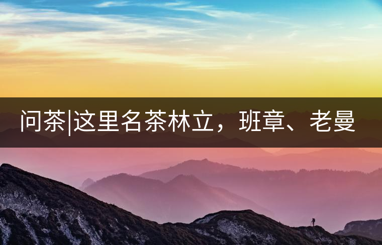 問(wèn)茶|這里名茶林立，班章、老曼峨皆在其列!問(wèn)茶｜這里名茶林立，班章、老曼峨皆在其列！