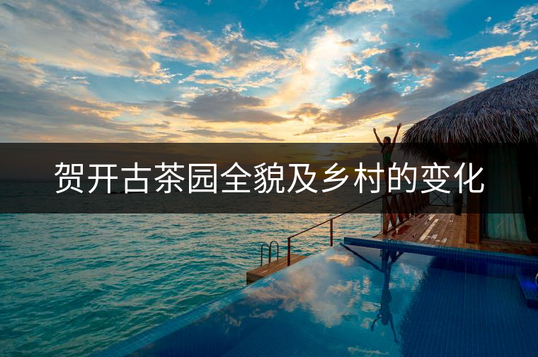 賀開(kāi)古茶園全貌及鄉(xiāng)村的變化 賀開(kāi)古茶園全貌及鄉(xiāng)村的變化