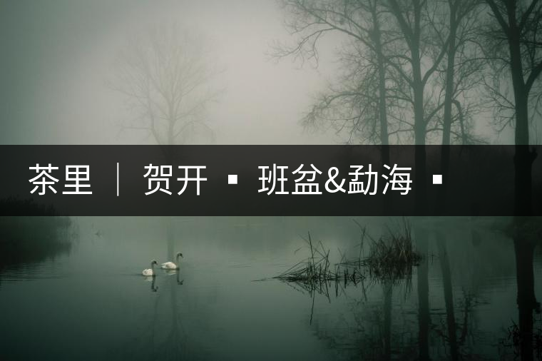 茶里 │ 賀開 ? 班盆&勐海 ? 南糯山多依寨/拔瑪 ? 帕沙 茶里 │ 賀開 ? 班盆&勐海 ? 南糯山多依寨/拔瑪 ? 帕沙