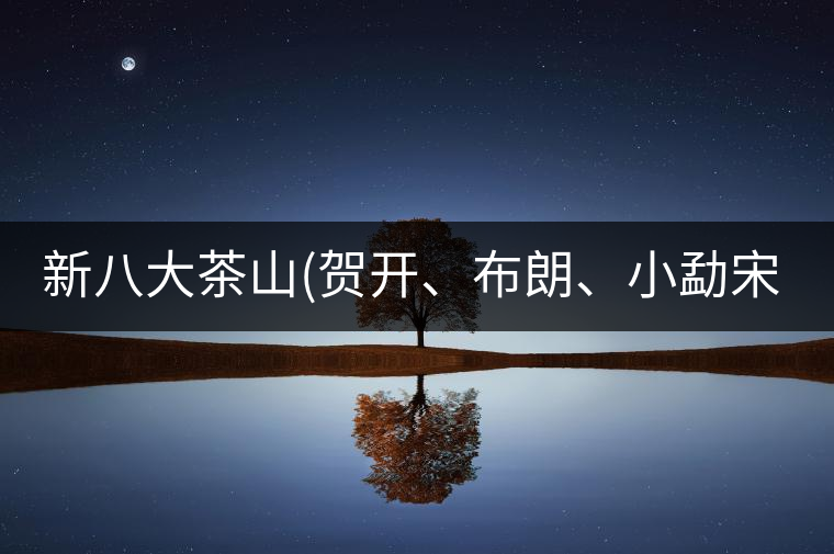 新八大茶山(賀開、布朗、小勐宋、巴達(dá))講解二新八大茶山（賀開、布朗、小勐宋、巴達(dá)）講解二