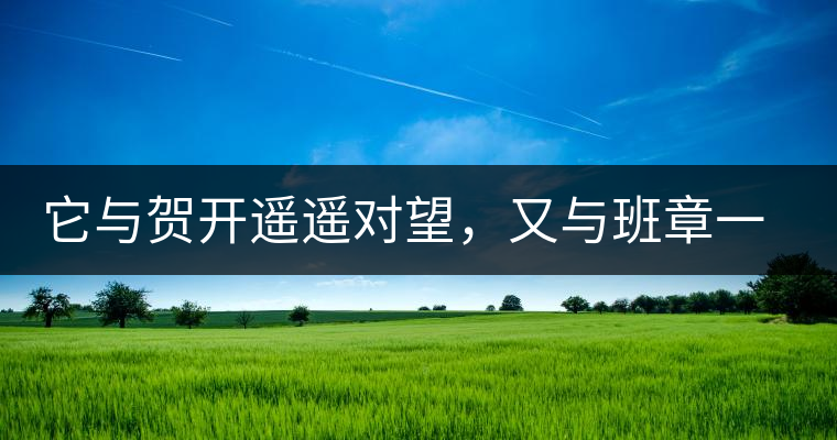 它與賀開遙遙對望，又與班章一衣帶水，它是班盆古樹春尖它與賀開遙遙對望，又與班章一衣帶水，它是班盆古樹春尖