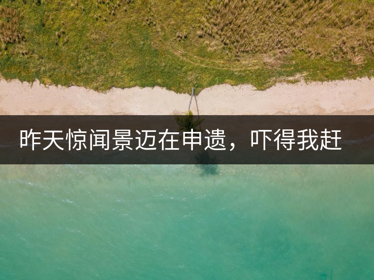 昨天驚聞景邁在申遺，嚇得我趕緊拿出景邁茶……昨天驚聞景邁在申遺，嚇得我趕緊拿出景邁茶……