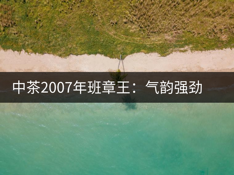 中茶2007年班章王：氣韻強(qiáng)勁，蜂蜜水般甜潤(rùn)，一直被老茶客撿漏