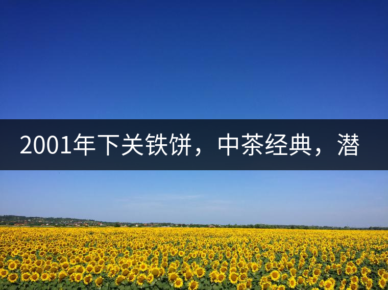 2001年下關(guān)鐵餅，中茶經(jīng)典，潛力可期!