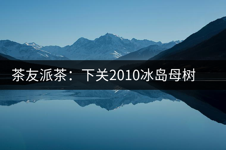茶友派茶：下關(guān)2010冰島母樹，挺甜的，母樹是個什么概念？