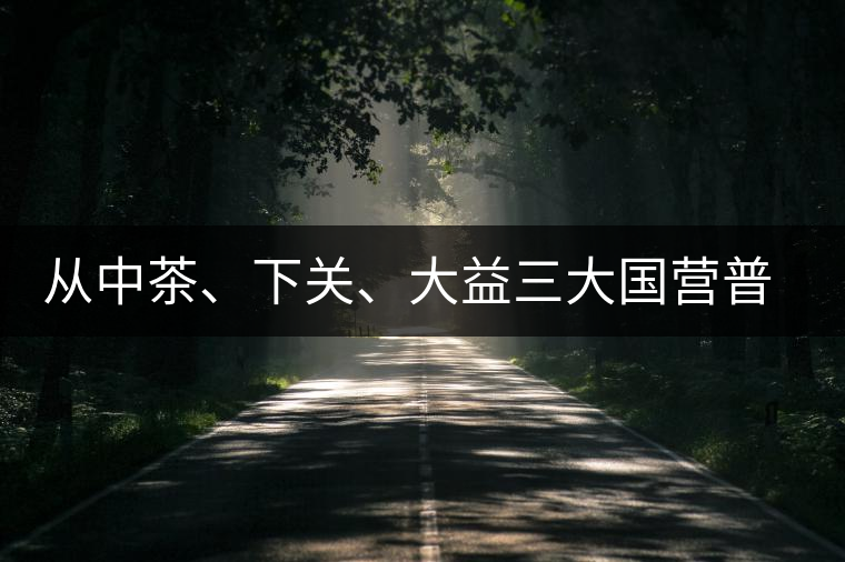 從中茶、下關、大益三大國營普洱茶廠變遷看普洱茶發(fā)展