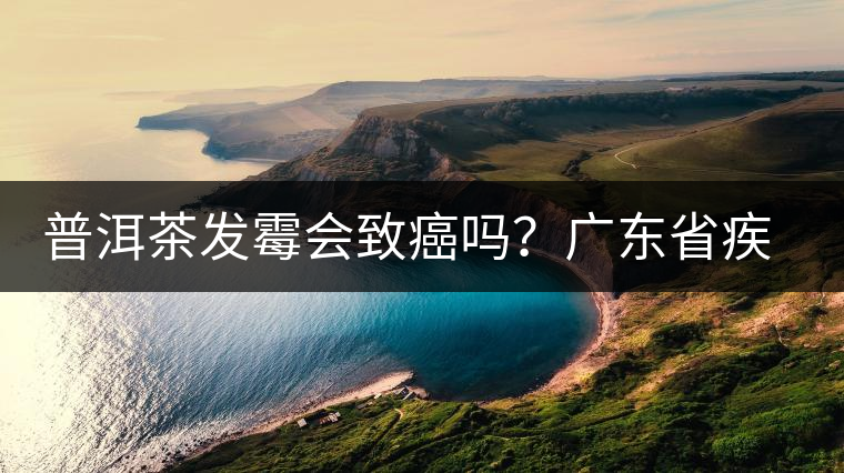 普洱茶發(fā)霉會致癌嗎？廣東省疾病預(yù)防控制中心檢測的結(jié)果是…