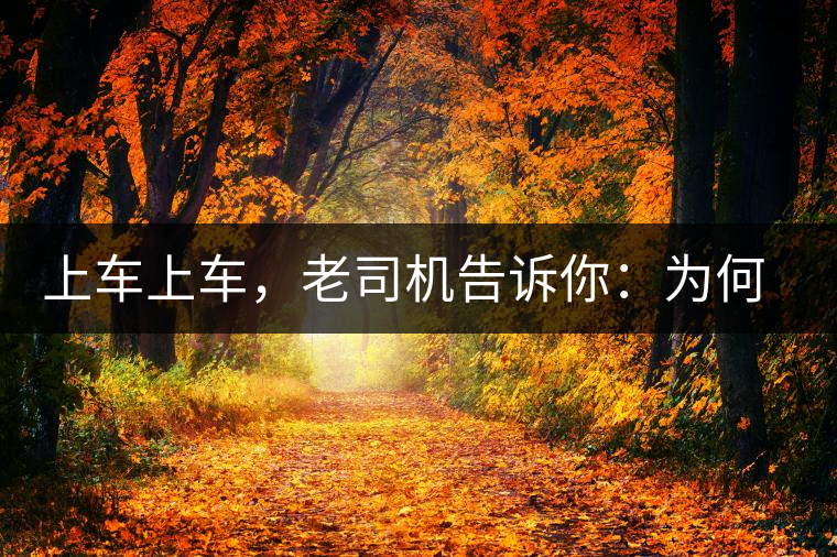 上車上車，老司機告訴你：為何明前茶貴如金