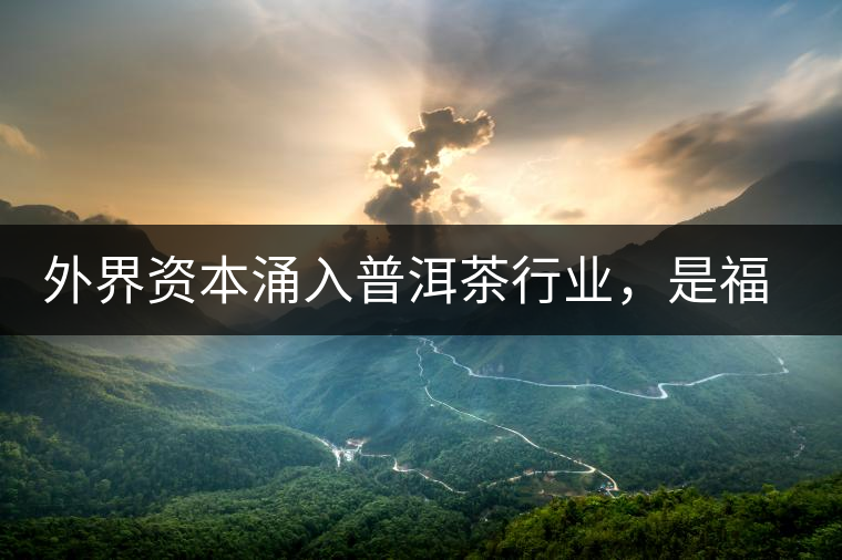 外界資本涌入普洱茶行業(yè)，是福還是禍？