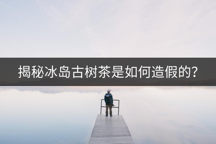 揭秘冰島古樹茶是如何造假的？