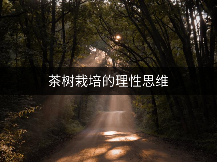 茶樹栽培的理性思維 茶樹栽培的理性思維