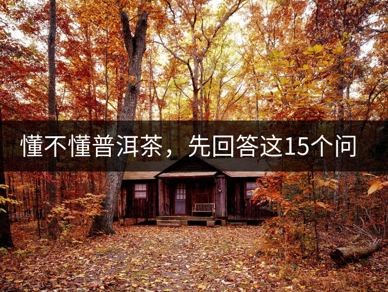 懂不懂普洱茶，先回答這15個問題試試？
