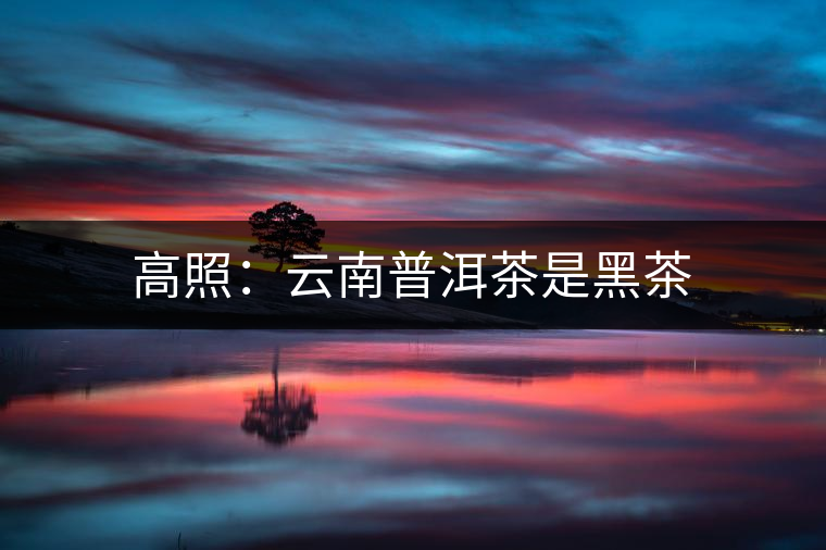 高照:云南普洱茶是黑茶 高照:云南普洱茶是黑茶