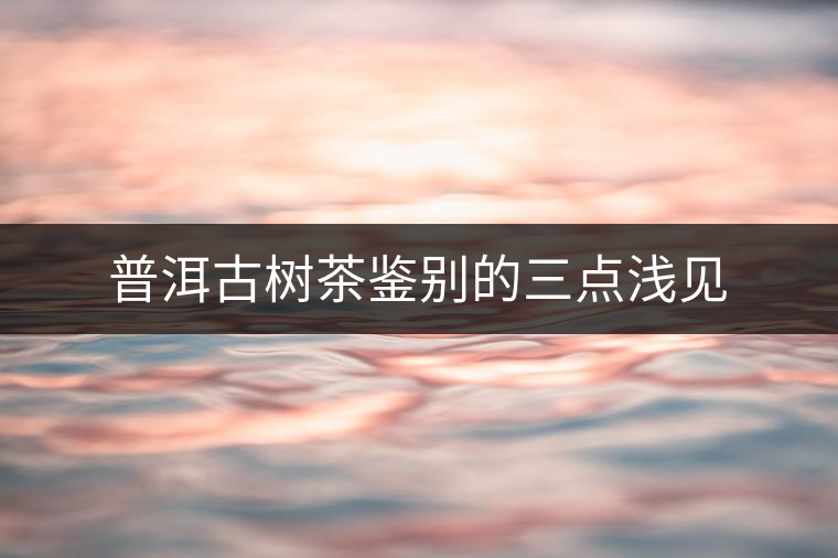 普洱古樹(shù)茶鑒別的三點(diǎn)淺見(jiàn) 普洱古樹(shù)茶鑒別的三點(diǎn)淺見(jiàn)
