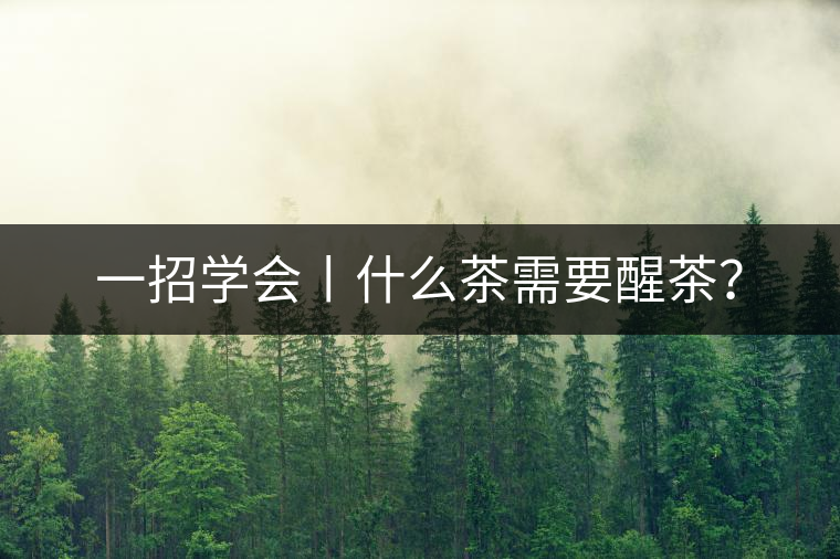 一招學(xué)會(huì)丨什么茶需要醒茶？